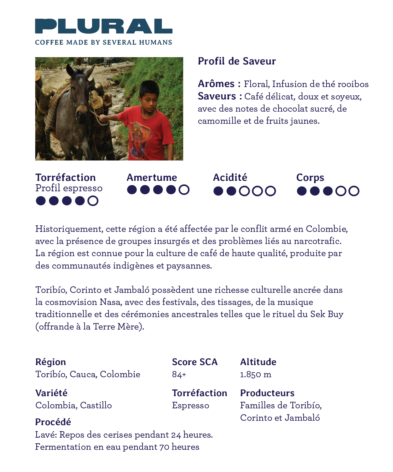 Colombie- Cauca - Espresso