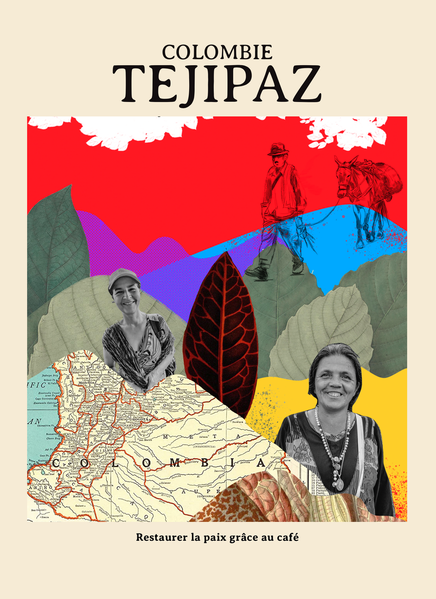 Colombie - Tejipaz (Restaurer la paix grâce au café)