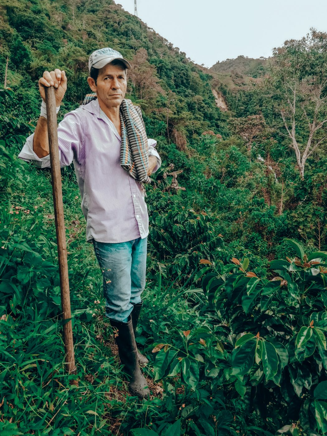Colombie - Tejipaz (Restaurer la paix grâce au café)