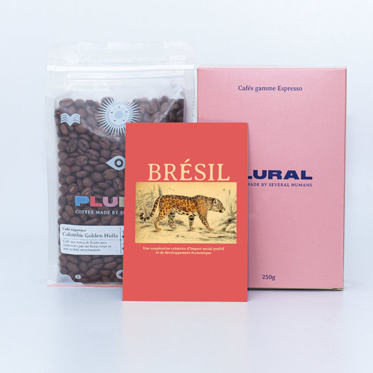 Brésil - Agriculture régénérative