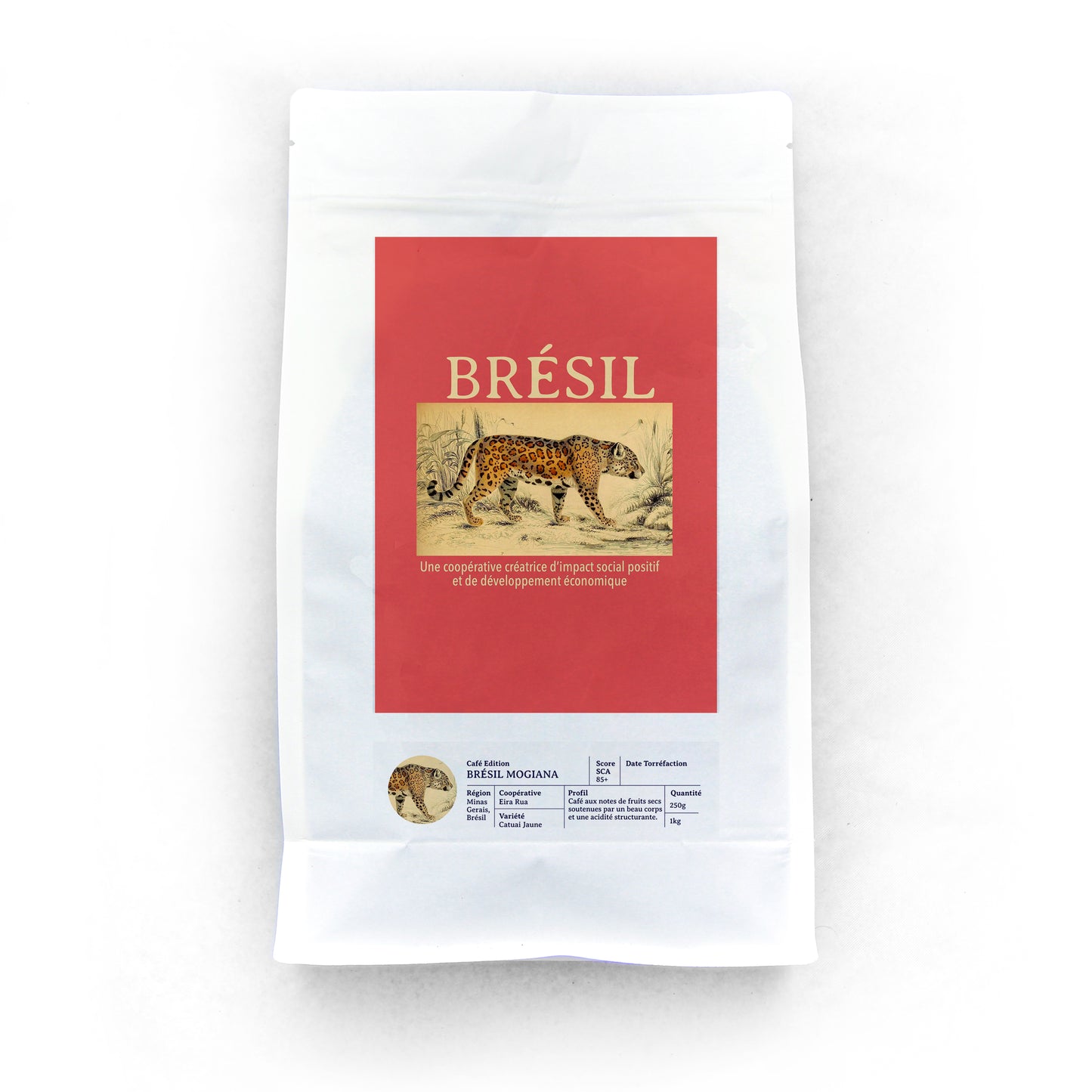 Brésil - Agriculture régénérative