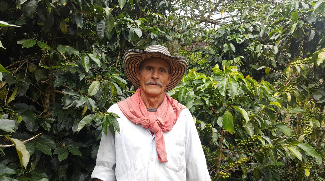 3 choses inattendues sur la culture du café colombien