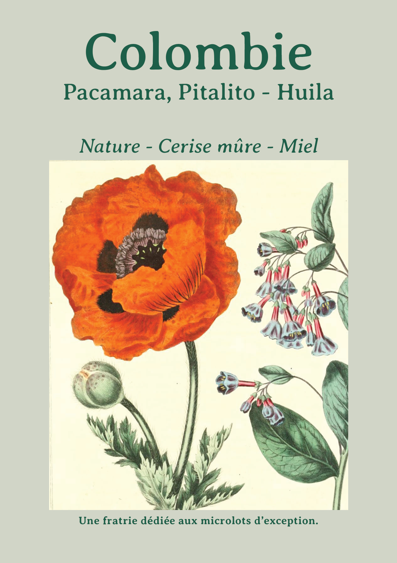 Colombia - Pacamara - Nature - Micro-lot d'exception
