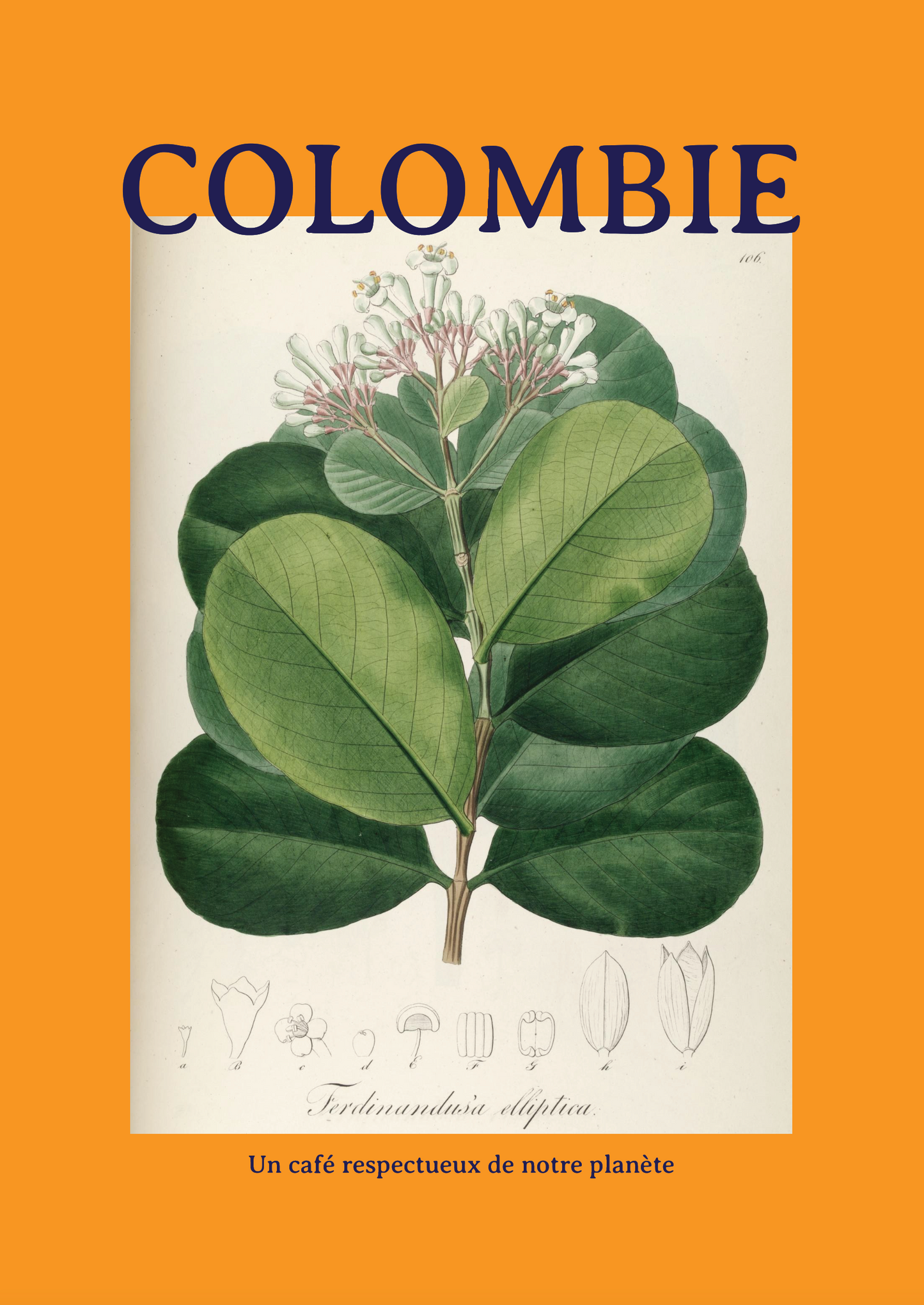 Colombie - Tolima