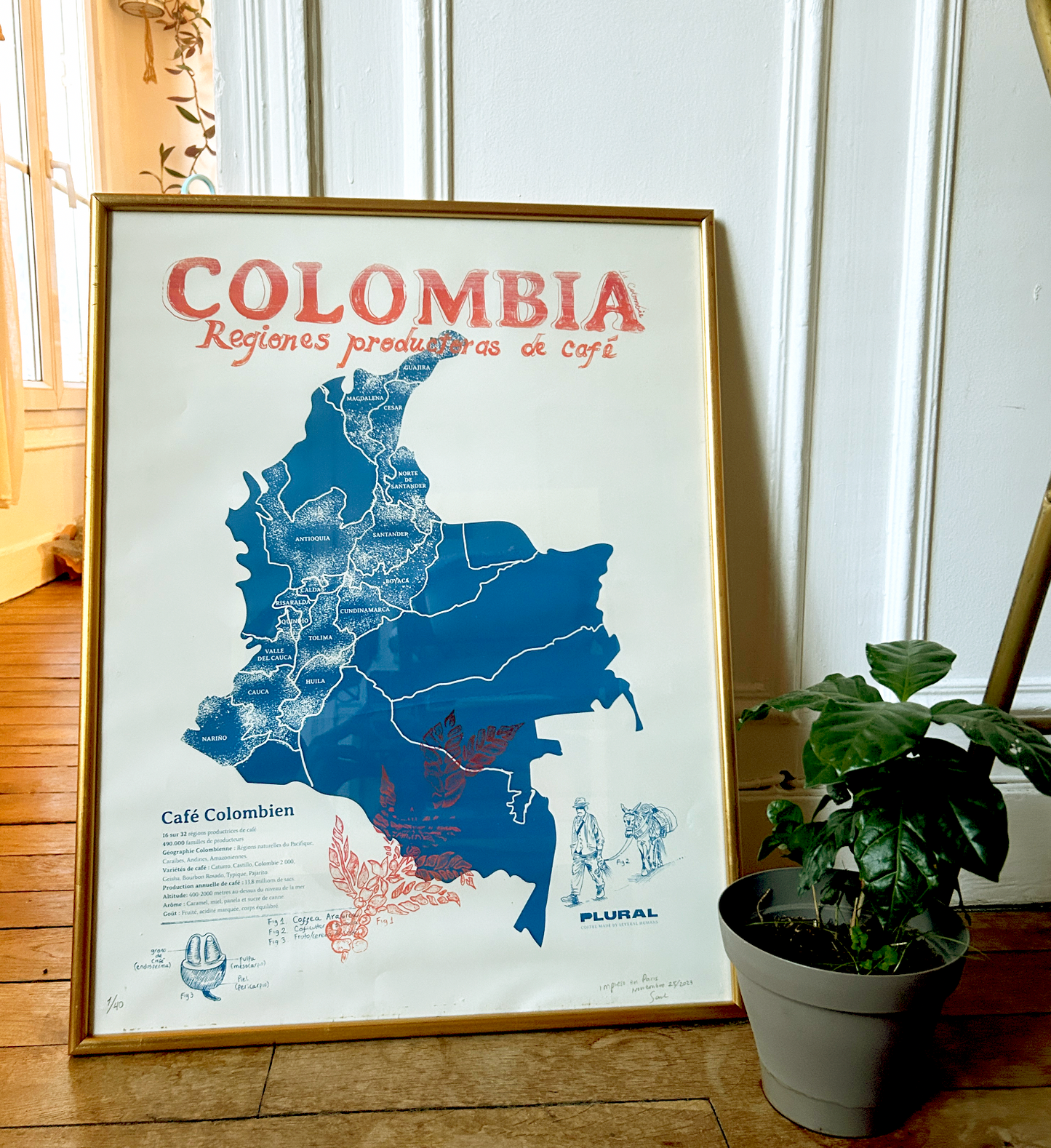 Affiche -  La carte de café Colombien. Format 50x70