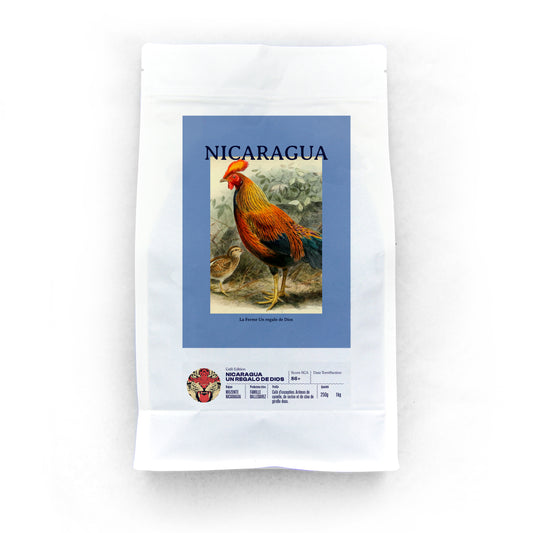 Nicaragua - Regalo de Dios - 1 kg