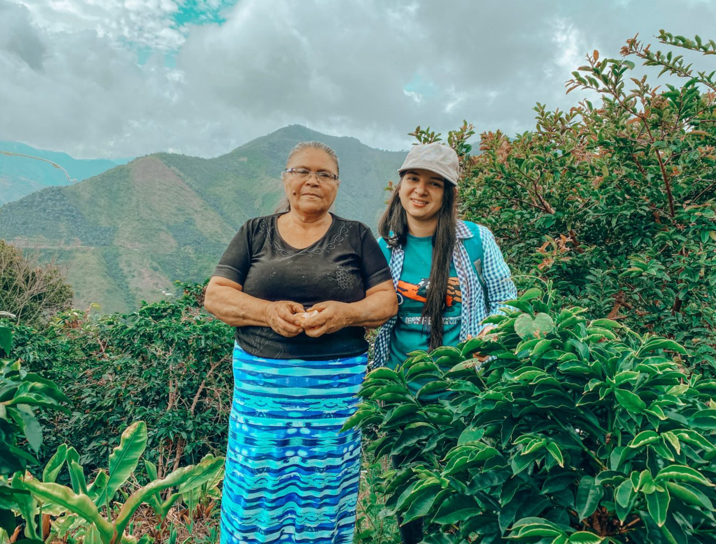 COLOMBIE - Mama Sierra - Soutenir les femmes colombiennes productrices de café