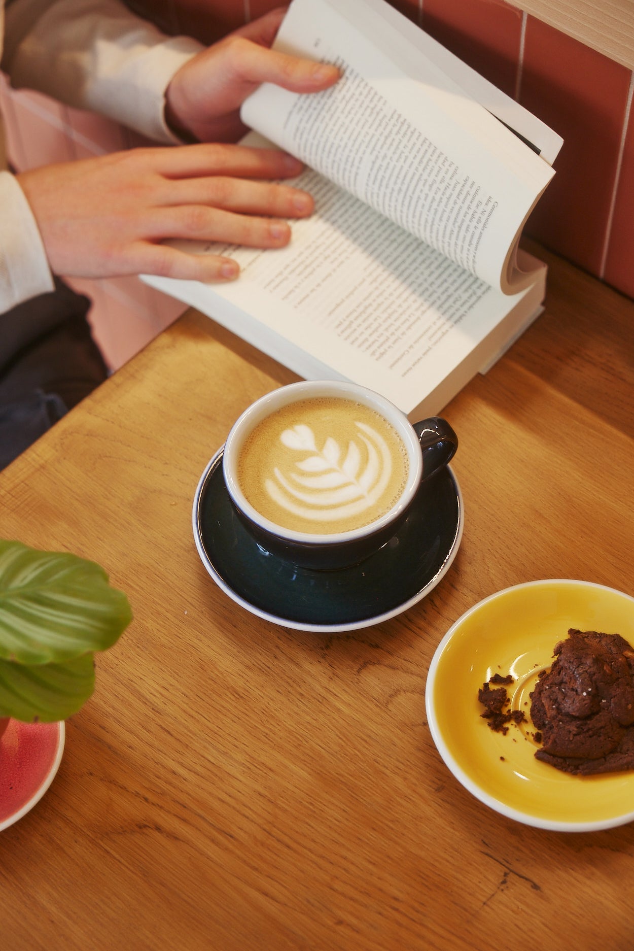 Atelier Barista Latte Art