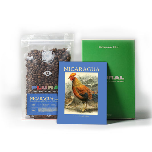 Nicaragua - Regalo de Dios - 1 kg